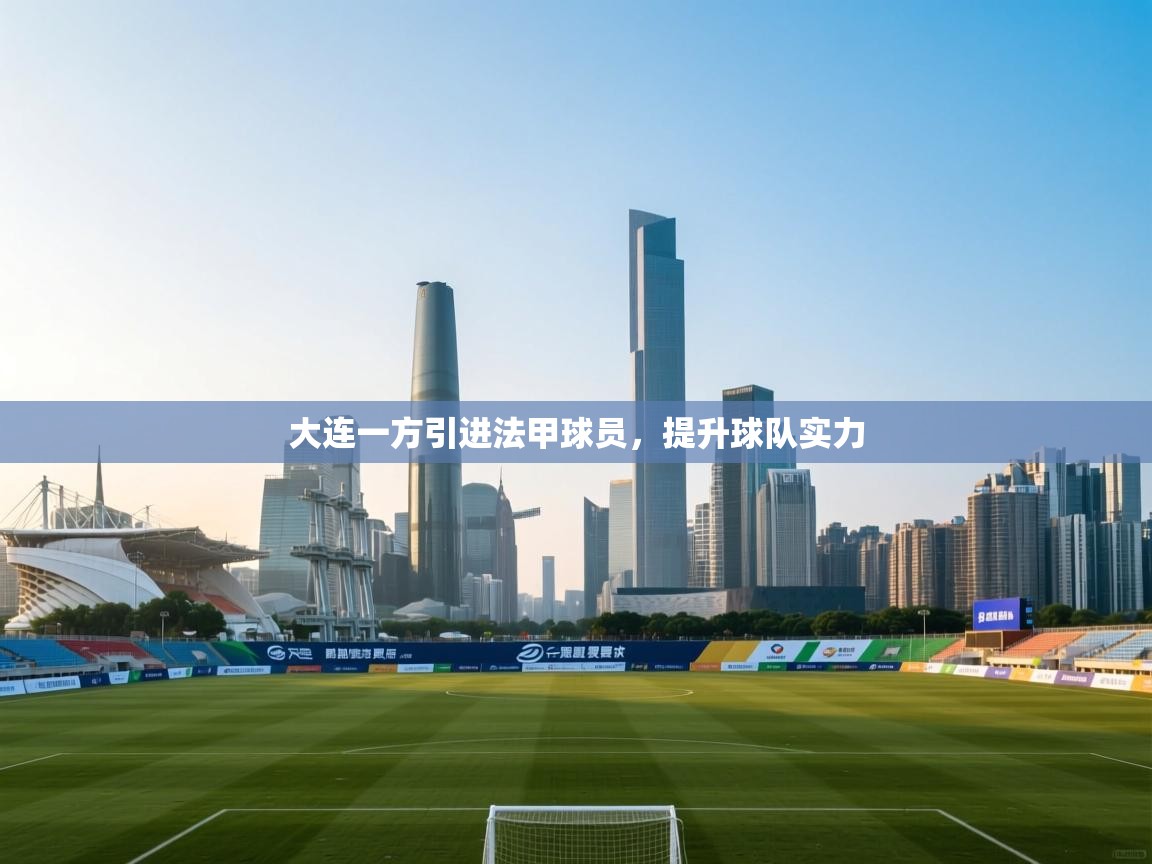大连一方引进法甲球员，提升球队实力  第2张